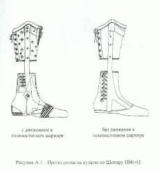Shopar PN0-02 Foot Prosthesis for Reduced Limb Pressure