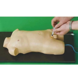 Pediatric Venipuncture and Arterial Puncture Training Model H3218