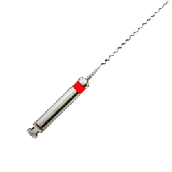Root Canal Filler KAN-001-25