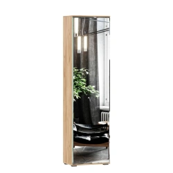 One-Door Wardrobe with Mirror - Fiji LD.659320.000 (Golden Oak/Kashmir)