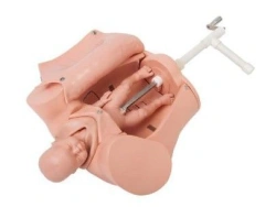 Mechanical Childbirth Model for Training, Art. 5B