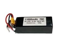 LiPo Battery