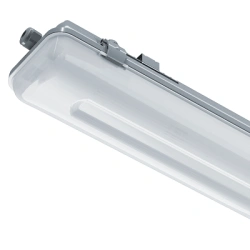 LED Ceiling Light DSP-AC-40 IP65 for Hallways and Basements