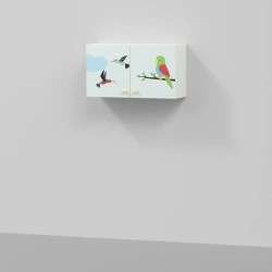 Wall-Mounted Cabinet for Document and Tool Storage, Model MF5.1-SHN-01