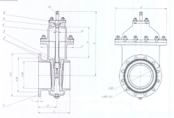 Bronze Bypass Gate Valve DN 250 PN 0.1 MPa ITSHL.491695.001-01