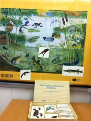 Magnetic Poster "Aquatic Community" with Cards