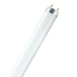 Fluorescent Lamp 30W/840 G13 T8 for Indoor Lighting