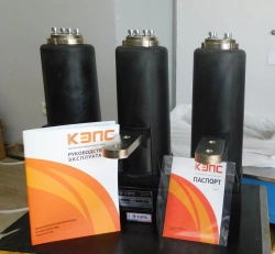 Vacuum Circuit Breakers KЭПС-ВВ 6-25/2000