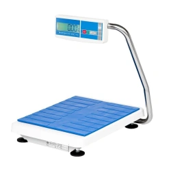 Medical Scales