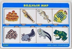 Wonders of Transformation Series Game: Aquatic World