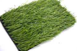 Artificial Grass Turf Covering Grass 70/10