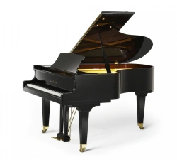Acoustic Grand Piano Chayka 191 Professional