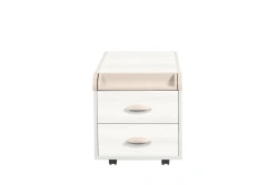 Mobile Cabinet for School and Office Supplies TUV.19