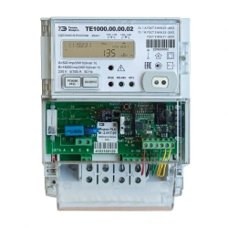 Multifunction Electric Energy Meter TE1000