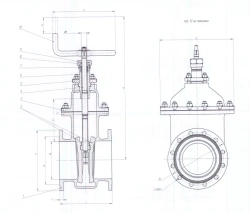 Brass Wedge Gate Valve DN 150 PN 0.6 MPa ITSHL.491655.003-01