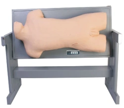 Advanced Comprehensive Trainer for Various Punctures CK810/CS6229