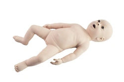 Realistic Newborn Baby Model (Girl) PS6603