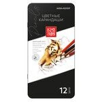 High-Quality Colored Pencils Set "Aqua-Color" IZO-CPM12 2 x 12 Colors