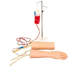 Adult Arm Model for IV Injections, Art. S18