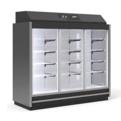Freezer Cabinet for Display and Storage of Frozen Foods