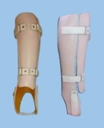 Cosmetic Calf Tutor TN2-G.1