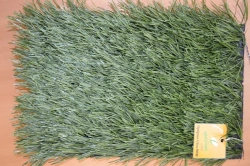 Optigrass Ultra 50 MF Artificial Grass Surface