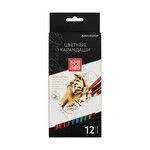 High-Quality Artistic Colored Pencils Set IZO-CP12 with 12 Colors