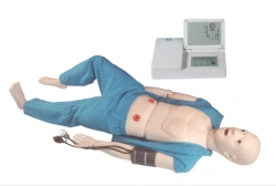 CPR and Care Training Manikin, NS1010