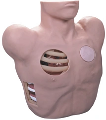 Medical Training Manikin