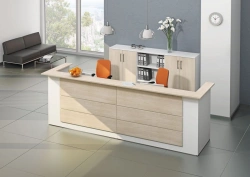 Ergonomic Office Furniture Collection "PROFIT