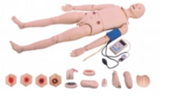 Patient Care Simulator for Blood Pressure Measurement and Catheterization, UT-54 Series