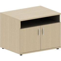 Office Equipment Cabinet by Bashkir Furniture Factory