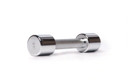 Chrome Coated Dumbbell 2 kg