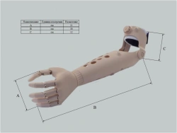 Microprocessor-Controlled Hand Prosthesis for Partial Hand Amputation