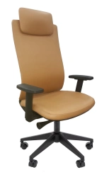 Executive Chair Chairman 500LT