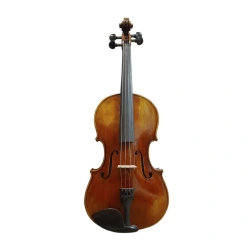 Professional String Bowed Instrument Goronok "Valentin Belozertsev" 406 mm