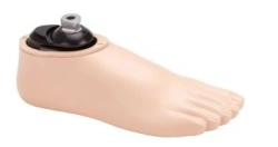 Carbon Fiber Prosthetic Foot for Amputation Level M1-M3