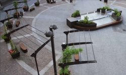 Climbing Plants Pergola for Garden Decoration