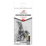 VISTA-ARTISTA Graphite Drawing Pencils Set VAGPG-12 - 12 Shades of Grey
