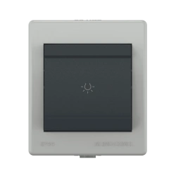 CADUCEUS ALING POWER One-Key Switch for Open Wiring 10AX, 250V~, IP44, Anthracite Gray, Art. 255.1A