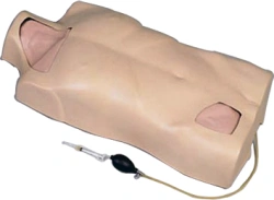 Central Venous Catheterization Training Model L68A