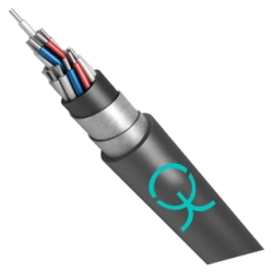 Control Cable AKVVG Eng(A) 660V with Plastic Insulation