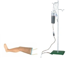Adult Leg Model for IV Infusions S16