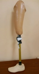 Bathing Hip Prosthesis for Water Activities