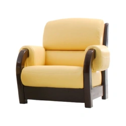 Comfortable Omelia Chair for Home and Office Use