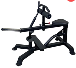 Calf Machine (Seated) with Free Weights
