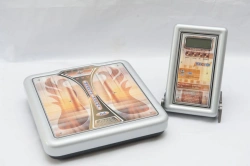 Electronic Scales for Weighing and Pricing - VEU-200-50/100-A-D