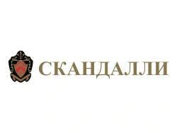 Chromatic Accordion Musical Instrument