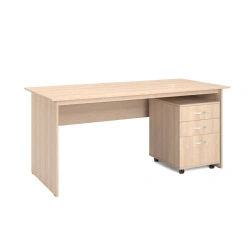 Executive Desk with Rolling Cabinet