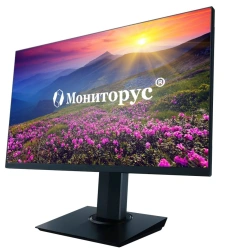 Liquid Crystal Monitor MONITORUS 2710/DP/220AC HS2710